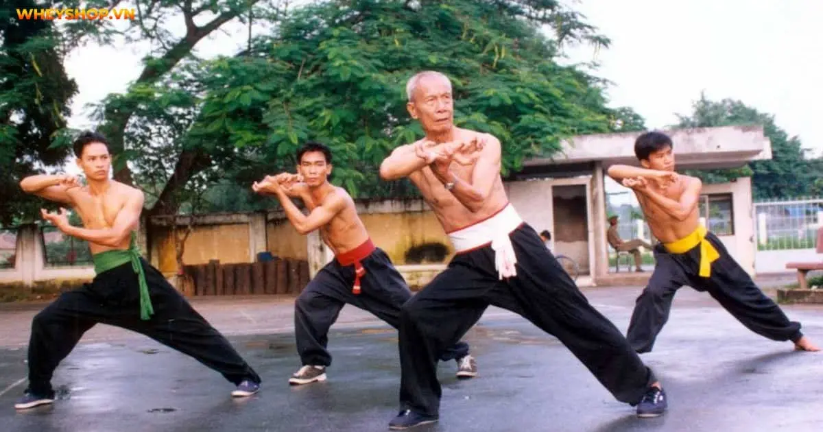 nhung-dieu-ban-nen-biet-ve-vo-co-truyen-viet-nam-4