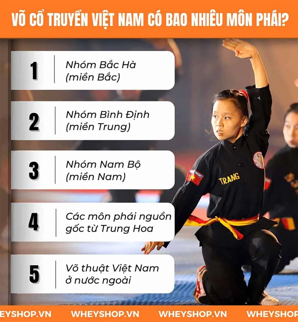 nhung-dieu-ban-nen-biet-ve-vo-co-truyen-viet-nam-4