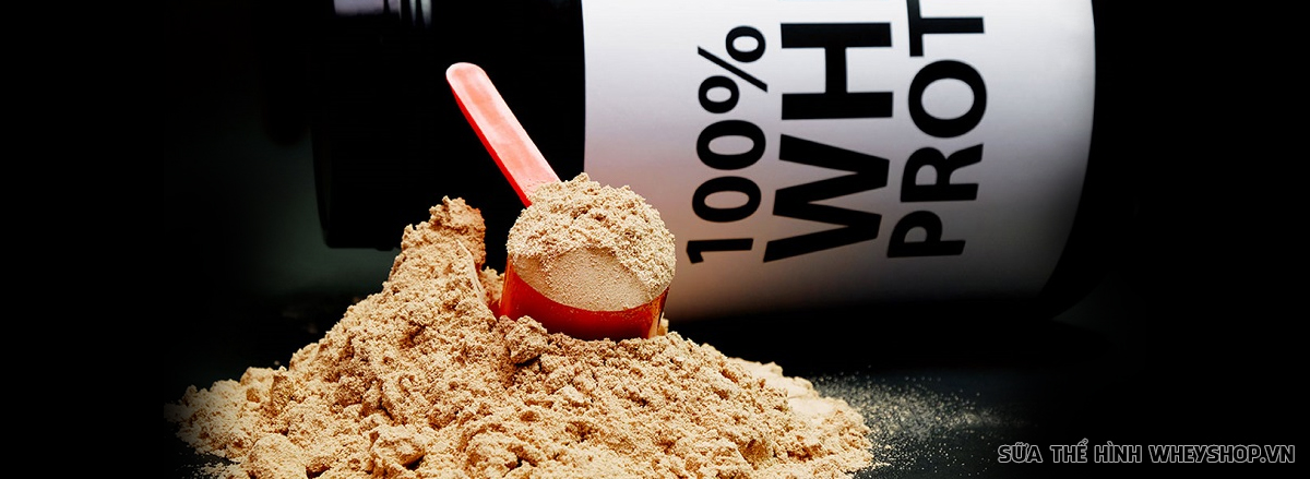 nhung dieu nen biet ve whey concentrate 80 whey concentrate la gi