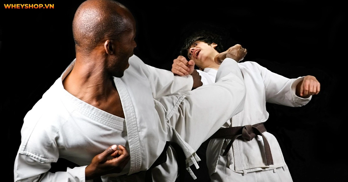 nhung-dong-tac-karate-co-ban-nhat-cho-nguoi-moi-4