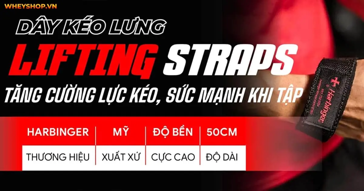 nhung-dung-cu-phu-kien-danh-cho-nguoi-tap-gym-7