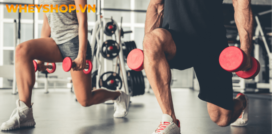 Các thiết bị dụng cụ tập gym thể dục khác nhau sẽ phù hợp cho các đối tượng nam nữ khác nhau, dựa vào yếu tố này, bạn hoàn toàn có thể lựa chọn thiết bị phù...