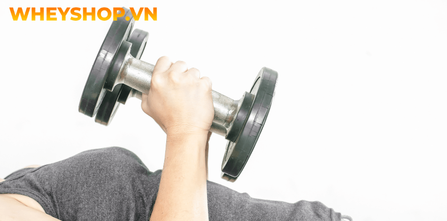 Các thiết bị dụng cụ tập gym thể dục khác nhau sẽ phù hợp cho các đối tượng nam nữ khác nhau, dựa vào yếu tố này, bạn hoàn toàn có thể lựa chọn thiết bị phù...