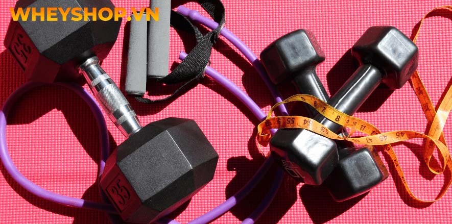 Các thiết bị dụng cụ tập gym thể dục khác nhau sẽ phù hợp cho các đối tượng nam nữ khác nhau, dựa vào yếu tố này, bạn hoàn toàn có thể lựa chọn thiết bị phù...
