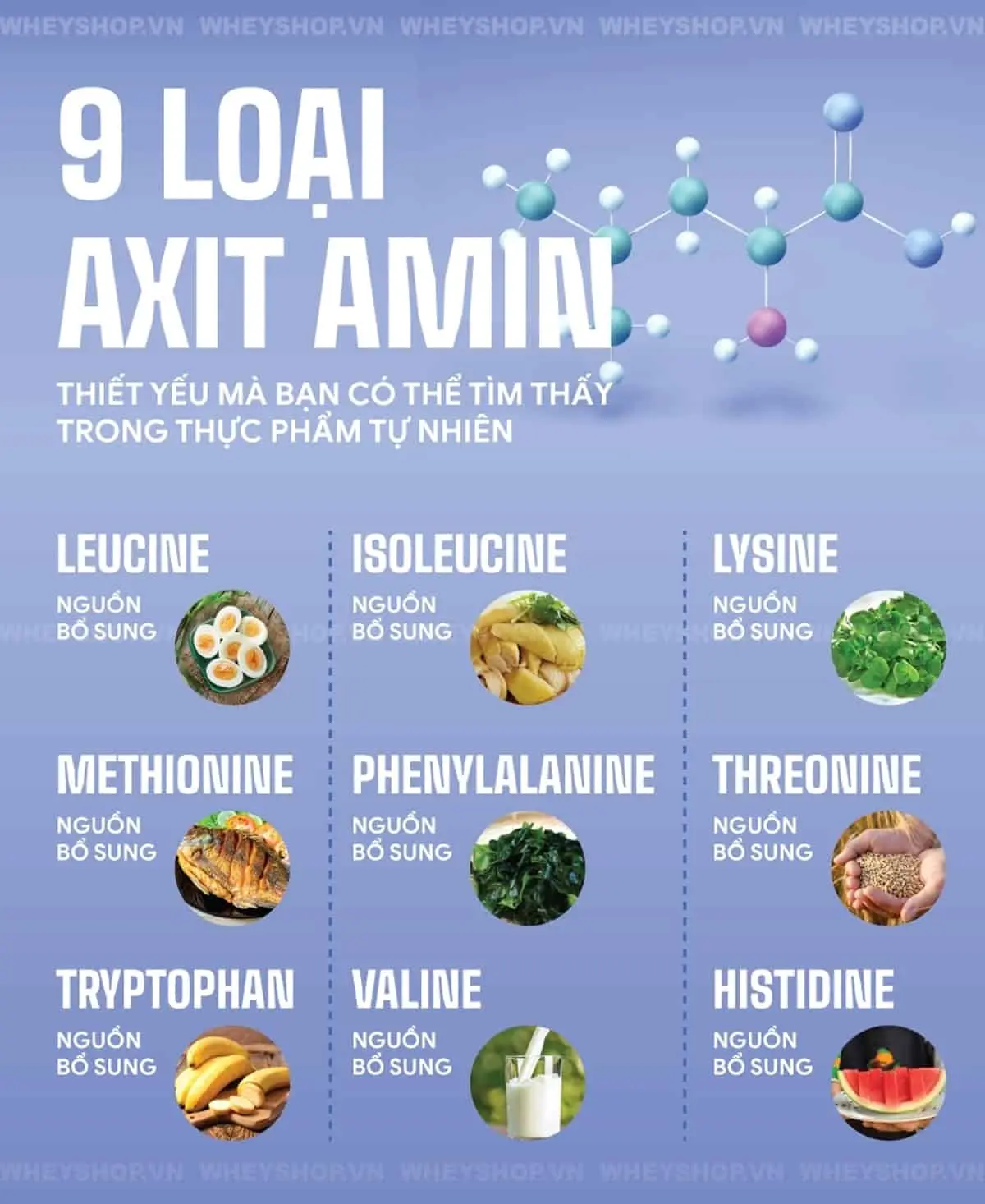 nhung-loai-axit-amin-co-nhieu-trong-thuc-an-tu-nhien-ban-nen-biet-3