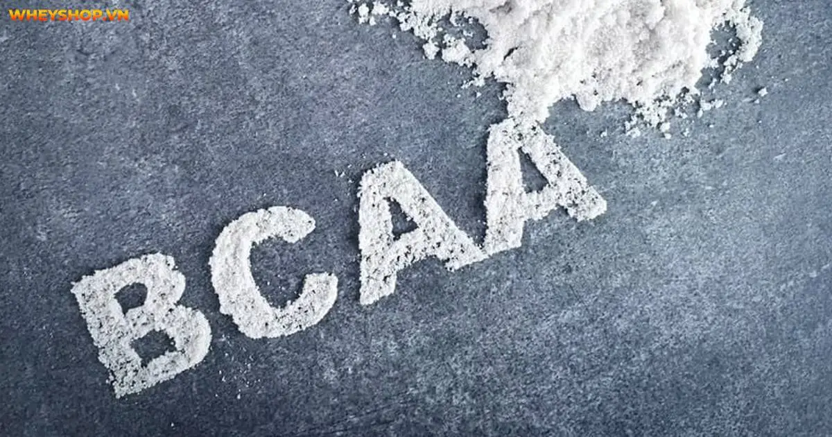 nhung-loai-axit-amin-co-nhieu-trong-thuc-an-tu-nhien-ban-nen-biet-3