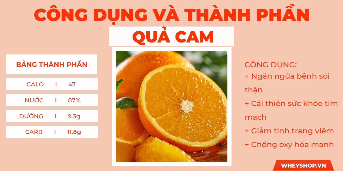 Nếu bạn đang g���y lâu năm, khó tăng cân, khó cải thiện dù ăn nhiều thực phẩm, tìm hiểu ngay 20 loại trái cây làm tăng cân nhanh, hiệu quả nhất dành cho người gầy
