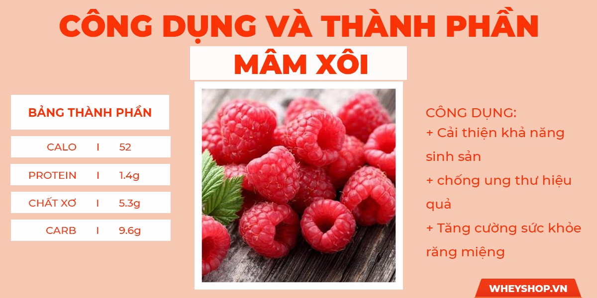 Nếu bạn đang gầy lâu năm, khó tăng cân, khó cải thiện dù ăn nhiều thực phẩm, tìm hiểu ngay 20 loại trái cây làm tăng cân nhanh, hiệu quả nhất dành cho người gầy