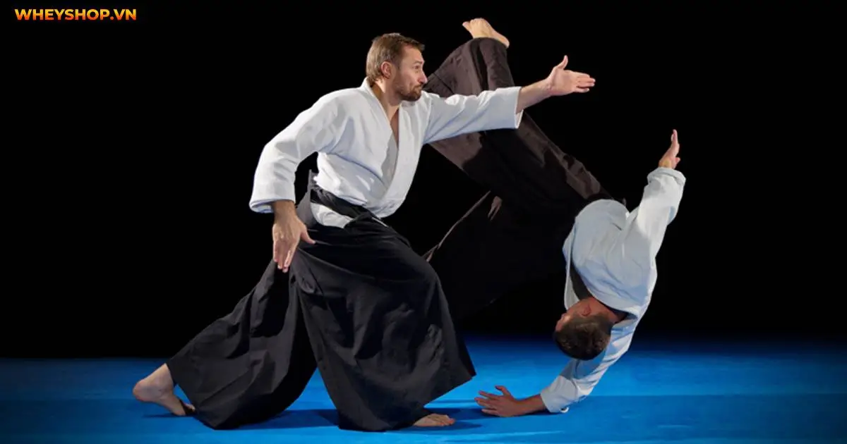 nhung-loi-ich-tuyet-voi-khi-tap-aikido-5
