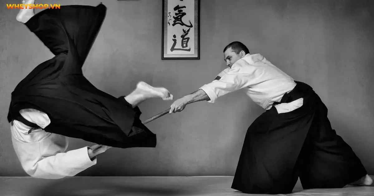 nhung-loi-ich-tuyet-voi-khi-tap-aikido-5