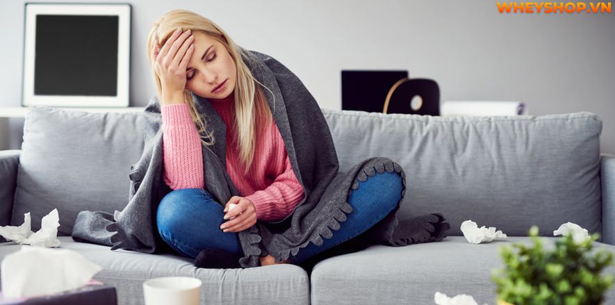 Nếu bạn đang băn khoăn mắc bệnh gì không nên tập gym thì hãy cùng WheyShop tham khảo chi tiết về những người mắc bệnh này không nên tập gym qua bài...