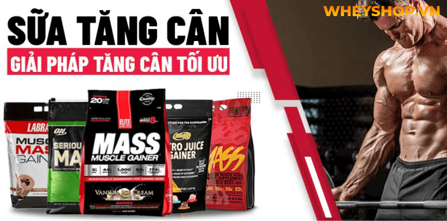 Cùng WheyShop tìm hiểu những nhóm thực phẩm cần thiết cho người gầy. Giàu dinh dưỡng, giúp người gầy tăng cân hiệu quả nhất ...