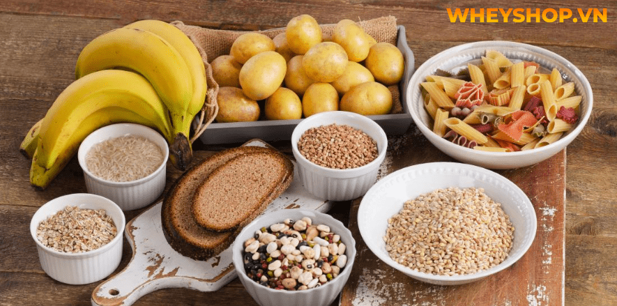 Cùng WheyShop tìm hiểu những nhóm thực phẩm cần thiết cho người gầy. Giàu dinh dưỡng, giúp người gầy tăng cân hiệu quả nhất ...