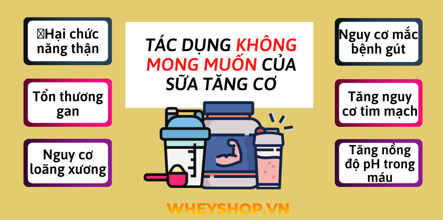 Cùng WheyShop tìm hiểu Những tác dụng không mong muốn của sữa tăng cơ đối với cơ thể để giúp bảo vệ sức khỏe toàn diện...