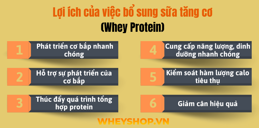 Cùng WheyShop tìm hiểu Những tác dụng không mong muốn của sữa tăng cơ đối với cơ thể để giúp bảo vệ sức khỏe toàn diện...