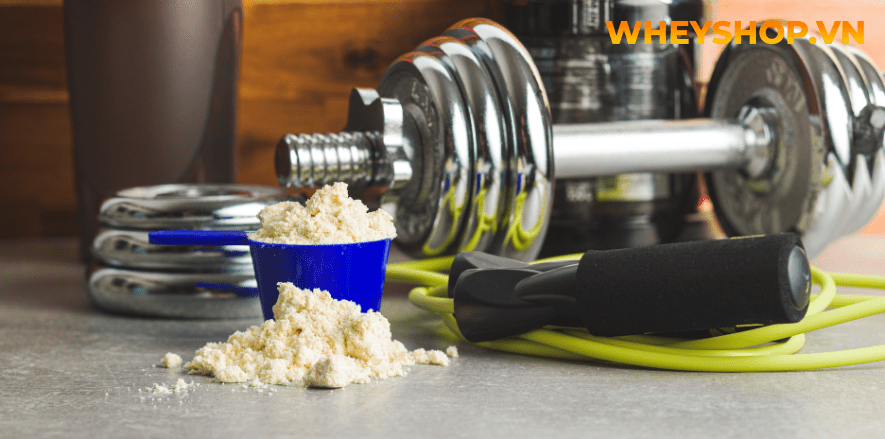 Cùng WheyShop tìm hiểu Những tác dụng không mong muốn của sữa tăng cơ đối với cơ thể để giúp bảo vệ sức khỏe toàn diện...
