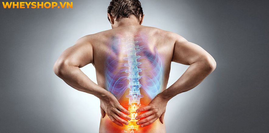 Rau càng cua là loại rau mọc dại ở Việt Nam, nhưng nó lại mang đến cho người dùng khá nhiều lợi ích không ngờ đến. Bài viết sau đây sẽ giúp bạn hiểu rõ hơn...