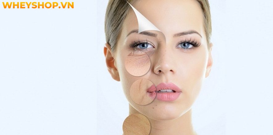 Rau càng cua là loại rau mọc dại ở Việt Nam, nhưng nó lại mang đến cho người dùng khá nhiều lợi ích không ngờ đến. Bài viết sau đây sẽ giúp bạn hiểu rõ hơn...