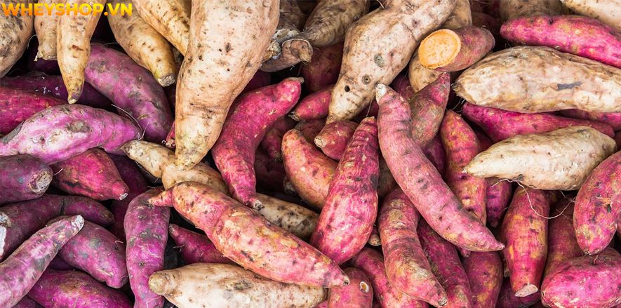 Thực phẩm giàu chất xơ có thể giúp bảo vệ chống lại ung thư, bệnh tim, đau nửa đầu, sỏi thận, PMS, béo phì và giúp hỗ trợ đường tiêu hóa khỏe mạnh, rất tốt...