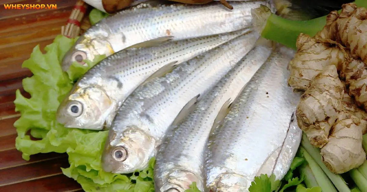 nhung-thuc-pham-giau-protein-cho-nguoi-tap-the-hinh-6