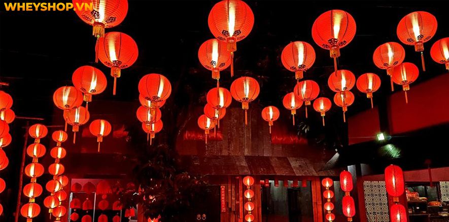 Trang trí Tết cổ truyền luôn là nét đẹp truyền thống của mỗi gia đình mỗi dịp Tết đến xuân về. Nếu bạn đang tìm kiếm ý tưởng trang trí Tết cổ truyền độc đáo,...