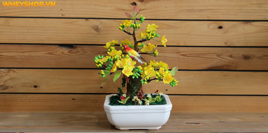 Trang trí Tết cổ truyền luôn là nét đẹp truyền thống của mỗi gia đình mỗi dịp Tết đến xuân về. Nếu bạn đang tìm kiếm ý tưởng trang trí Tết cổ truyền độc đáo,...