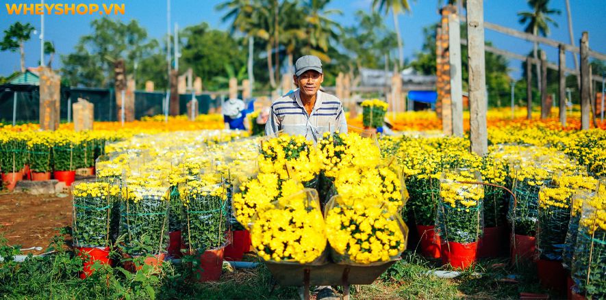 Trang trí Tết cổ truyền luôn là nét đẹp truyền thống của mỗi gia đình mỗi dịp Tết đến xuân về. Nếu bạn đang tìm kiếm ý tưởng trang trí Tết cổ truyền độc đáo,...