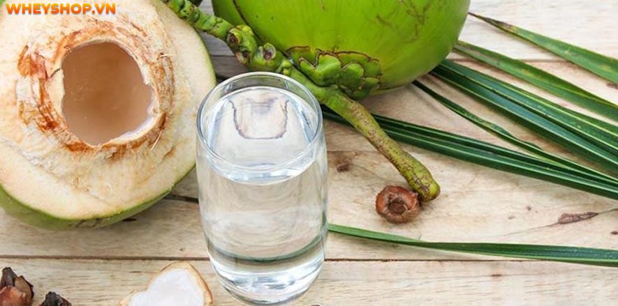 Nước dừa có vị ngọt thanh, là thức uống quen thuộc của mọi người. Vậy nước dừa bao nhiêu calo, uống nước dừa có béo không ? Xin mời các bạn hãy cùng tìm hiểu...