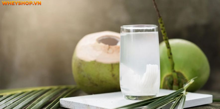 Nước dừa có vị ngọt thanh, là thức uống quen thuộc của mọi người. Vậy nước dừa bao nhiêu calo, uống nước dừa có béo không ? Xin mời các bạn hãy cùng tìm hiểu...
