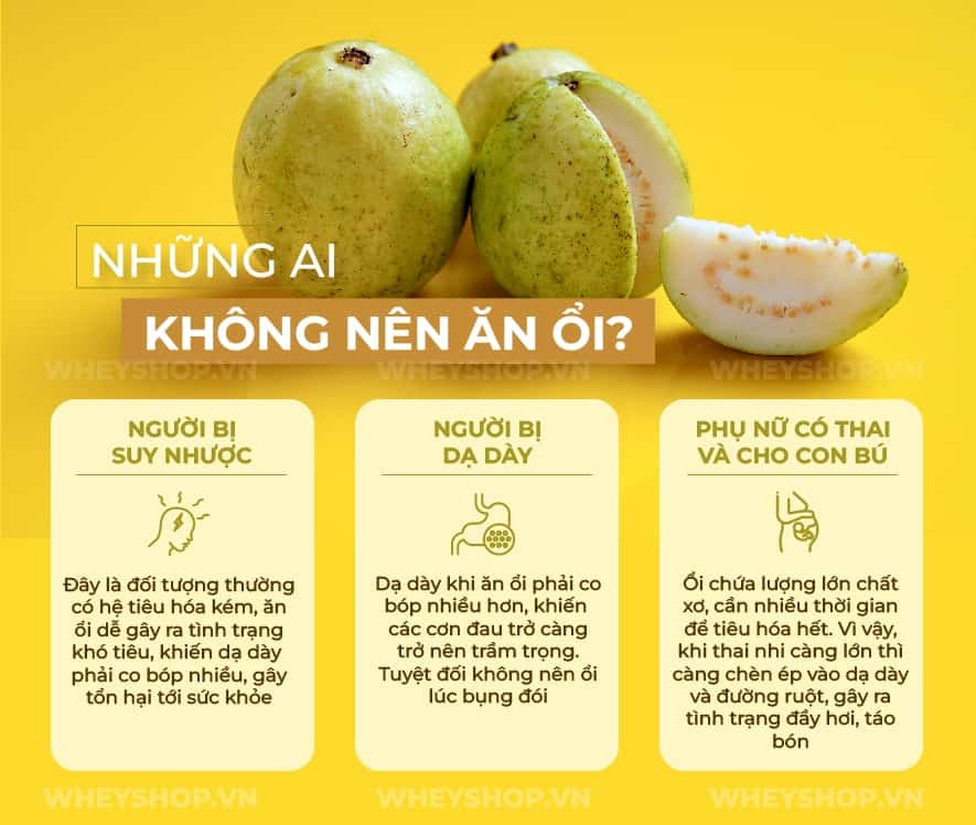 Cùng WheyShop tìm hiểu 100g, 1 quả Ổi bao nhiêu calo? Ăn Ổi có giảm cân hiệu quả không qua bài viết chi tiết, đầy đủ ngay sau đây nhé...