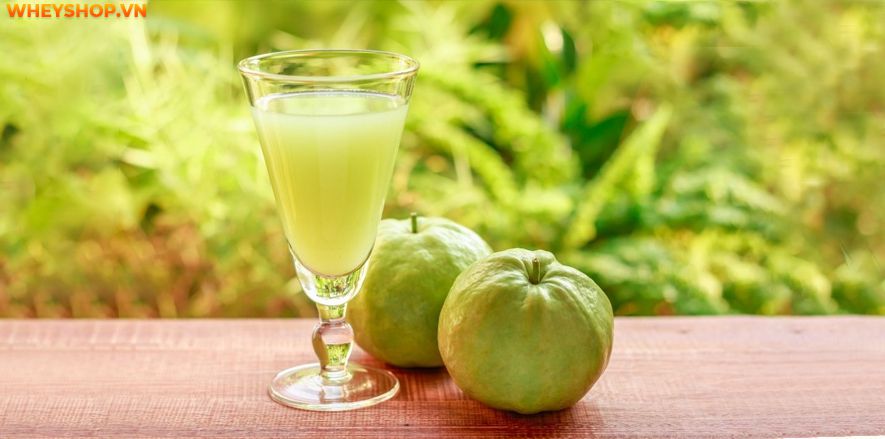 Cùng WheyShop tìm hiểu 100g, 1 quả Ổi bao nhiêu calo? Ăn Ổi có giảm cân hiệu quả không qua bài viết chi tiết, đầy đủ ngay sau đây nhé...