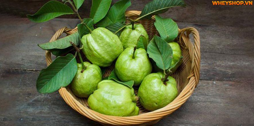 Cùng WheyShop tìm hiểu 100g, 1 quả Ổi bao nhiêu calo? Ăn Ổi có giảm cân hiệu quả không qua bài viết chi tiết, đầy đủ ngay sau đây nhé...