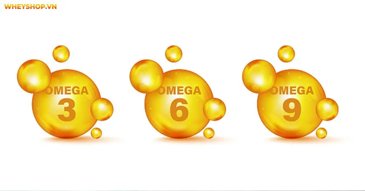 omega-369-la-gi-vi-sao-ban-nen-uong-omega-3-6-9-4