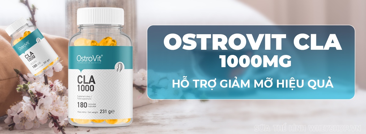 Ostrovit CLA là sản phẩm bổ sung axit béo tốt CLA hỗ trợ chuyển hóa mỡ thừa thành năng lượng, giảm mỡ tự nhiên, lành tính, an toàn với sức khỏe...