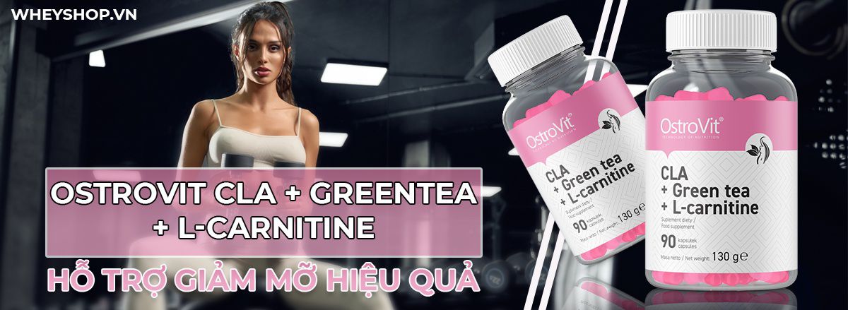 Nếu bạn đang băn khoăn trong việc tìm hiểu thực phẩm bổ sung giảm mỡ có tốt không thì hãy cùng WheyShop tham khảo chi tiết bài viết...