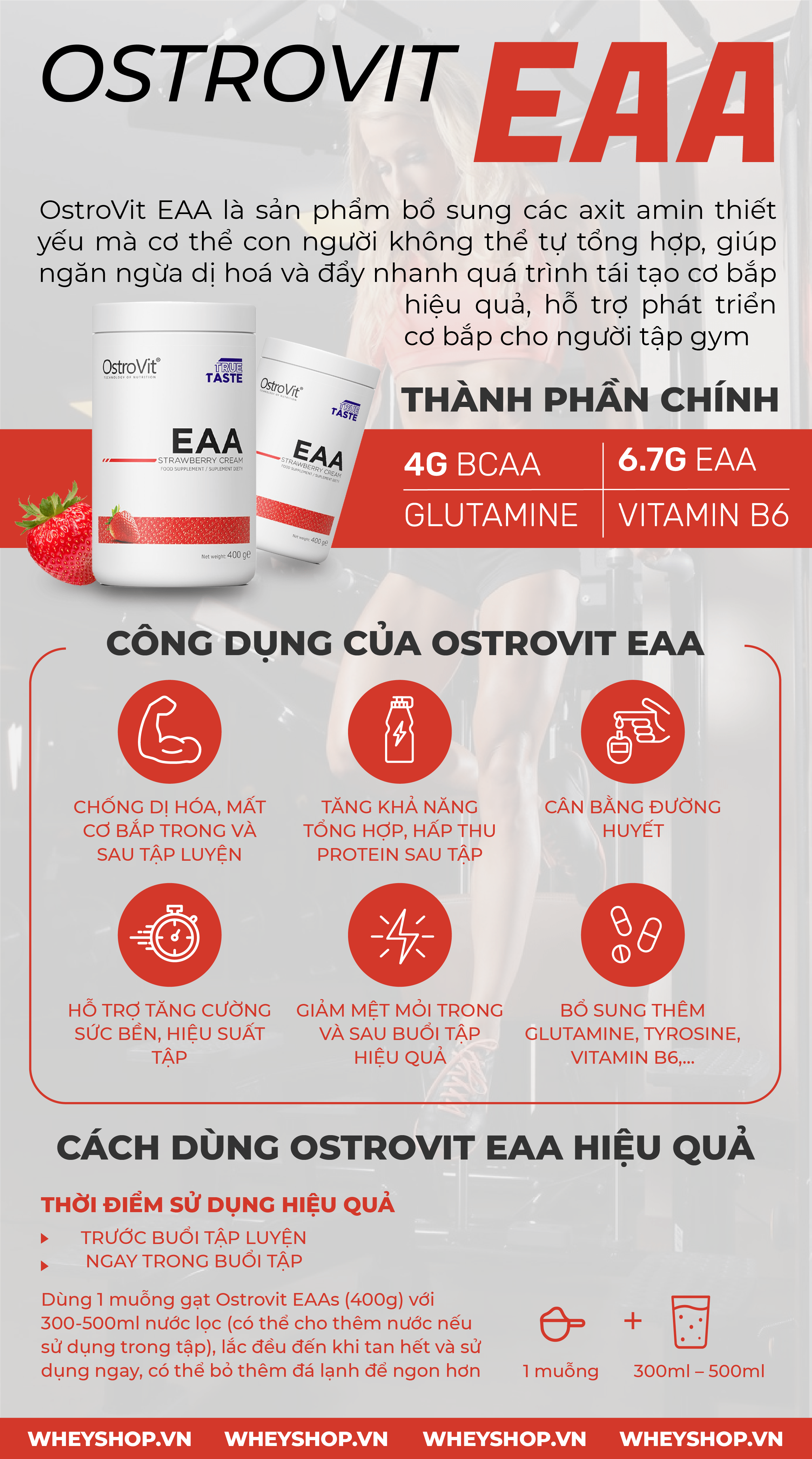 Nhiều hãng lớn sản xuất EAA như Mutant, Rule 1, Biotech USA, Ostrovist,... Hôm nay, hãy cùng WheyShop trải nghiệm xem Ostrovit EAA có tốt không nhé!