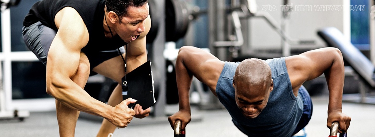 PT Gym hay còn gọi là Personal Trainer là những huấn luyện viên cá nhân chuyên nghiệp. Tiêu chuẩn để trở thành PT là gì, cùng tìm hiểu chi tiết qua bài viết sau