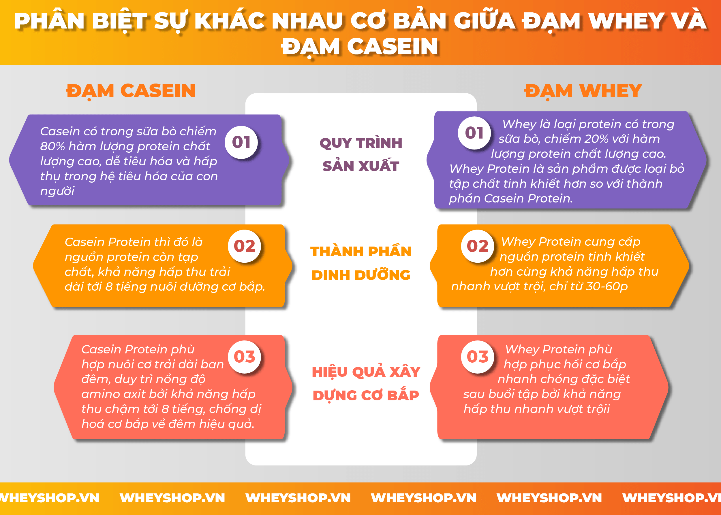Nếu bạn đang băn khoăn không rõ Casein và Whey Protein khác nhau ở đâu thì hãy cùng WheyShop tham khảo giải đáp thắc mắc qua bài viết...