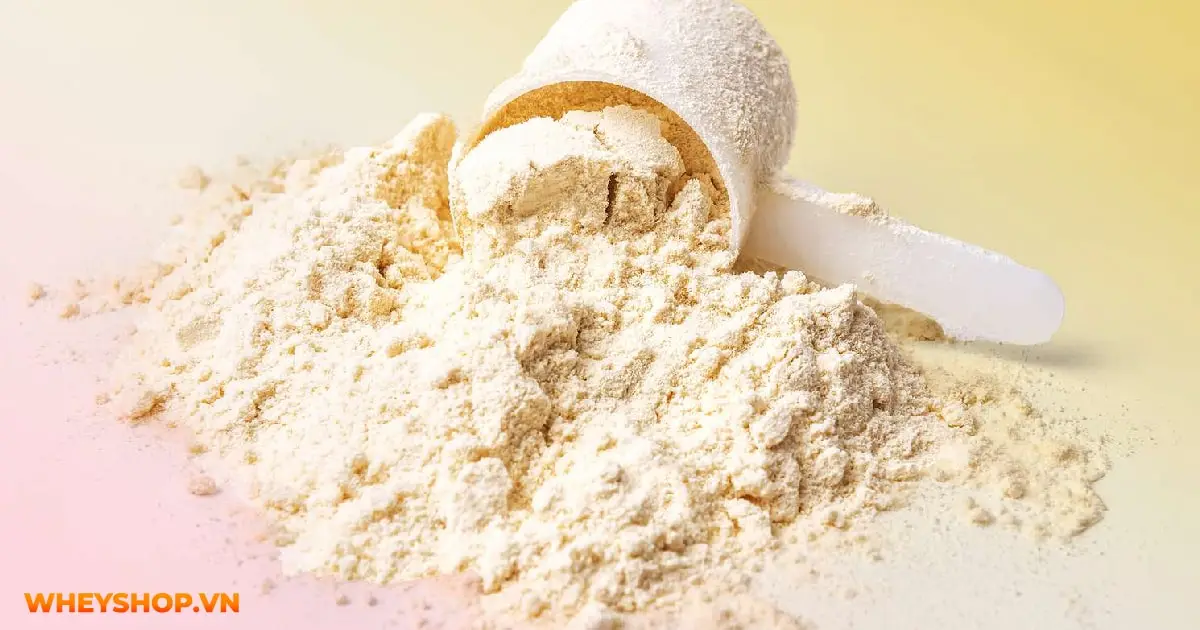 phan-biet-whey-protein-va-mass-gainer-03-min
