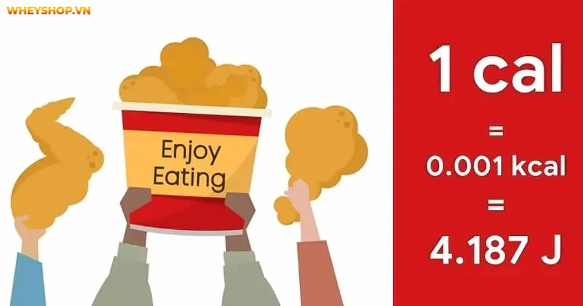 phuong-phap-quy-doi-kcal-sang-kj-3