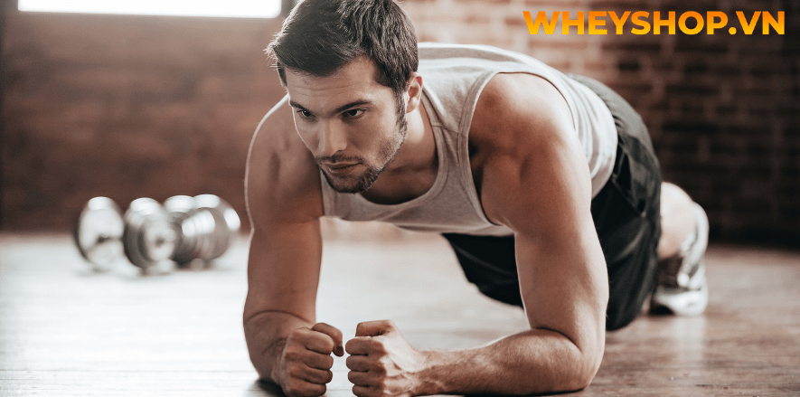 Plank là gì? Những người mới bắt đầu thì nên tập những bài tập plank như thế nào?