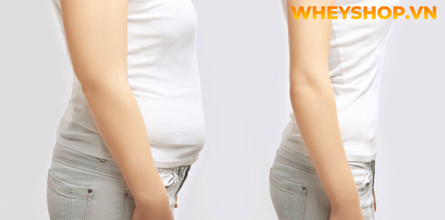 Plank là gì? Những người mới bắt đầu thì nên tập những bài tập plank như thế nào?