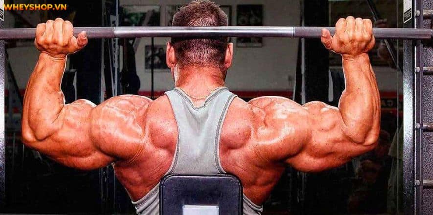 Pre-workout và Creatine tuy khác nhau về quy cách sản xuất và bảng thành phần nhưng 2 sản phẩm này đều có mục đích tăng sức mạnh, cải thiện thể lực cho...