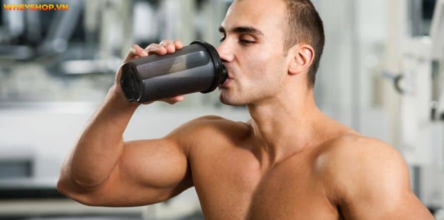 Pre-workout và Creatine tuy khác nhau về quy cách sản xuất và bảng thành phần nhưng 2 sản phẩm này đều có mục đích tăng sức mạnh, cải thiện thể lực cho...