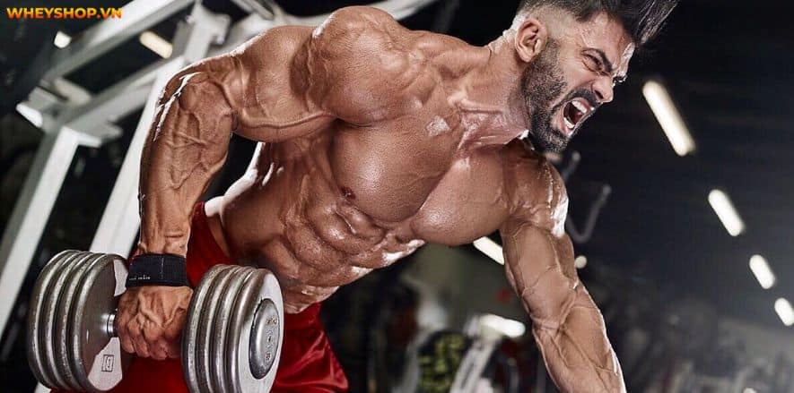 Pre-workout và Creatine tuy khác nhau về quy cách sản xuất và bảng thành phần nhưng 2 sản phẩm này đều có mục đích tăng sức mạnh, cải thiện thể lực cho...