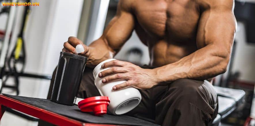 Pre-workout và Creatine tuy khác nhau về quy cách sản xuất và bảng thành phần nhưng 2 sản phẩm này đều có mục đích tăng sức mạnh, cải thiện thể lực cho...