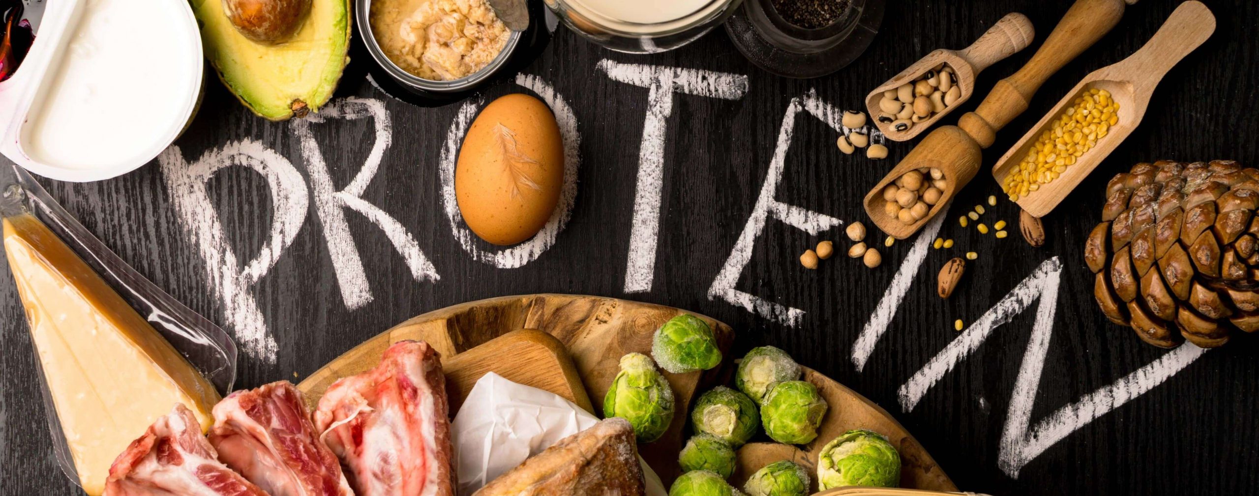 protein động vật và thực vật