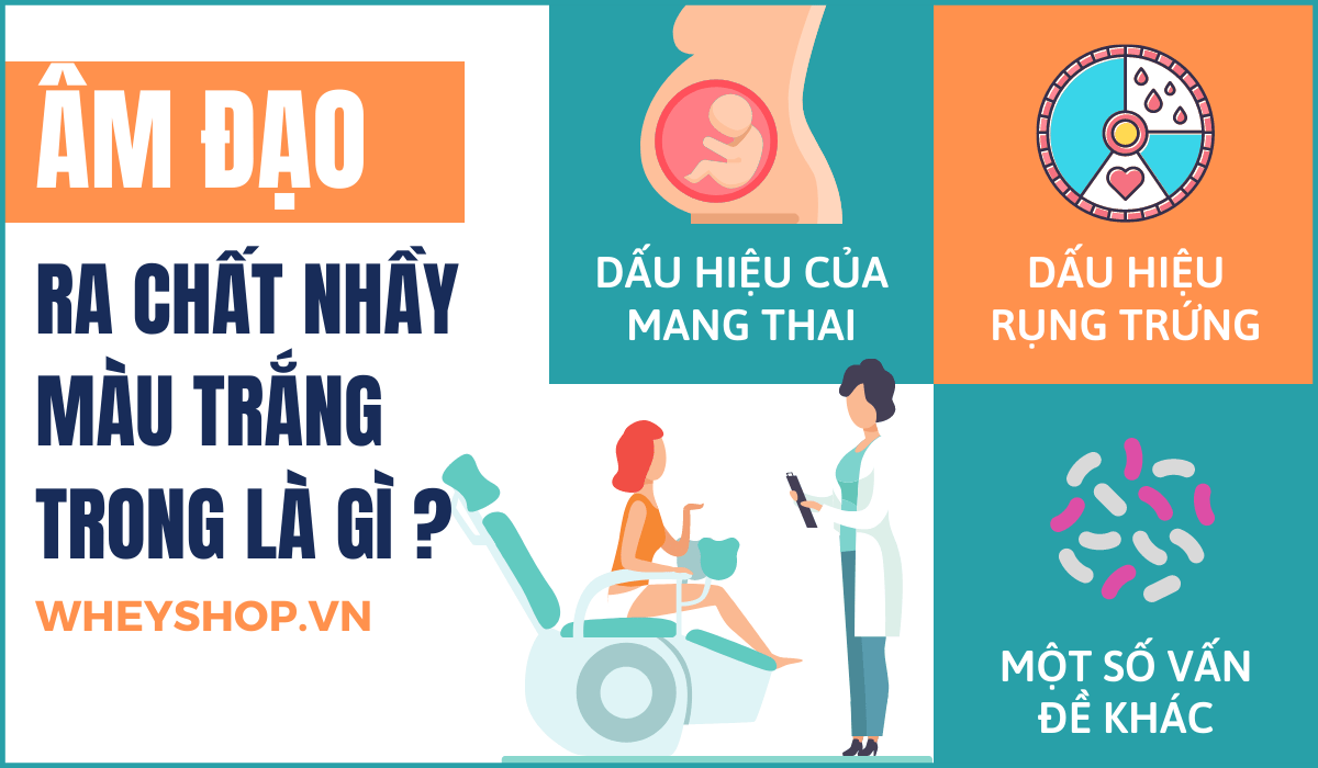 Nếu bạn đang lo lắng phân vân ra chất nhầy màu trắng trong có phải mang thai hay không thì hãy cùng WheyShop tham khảo giải đáp bài viết...