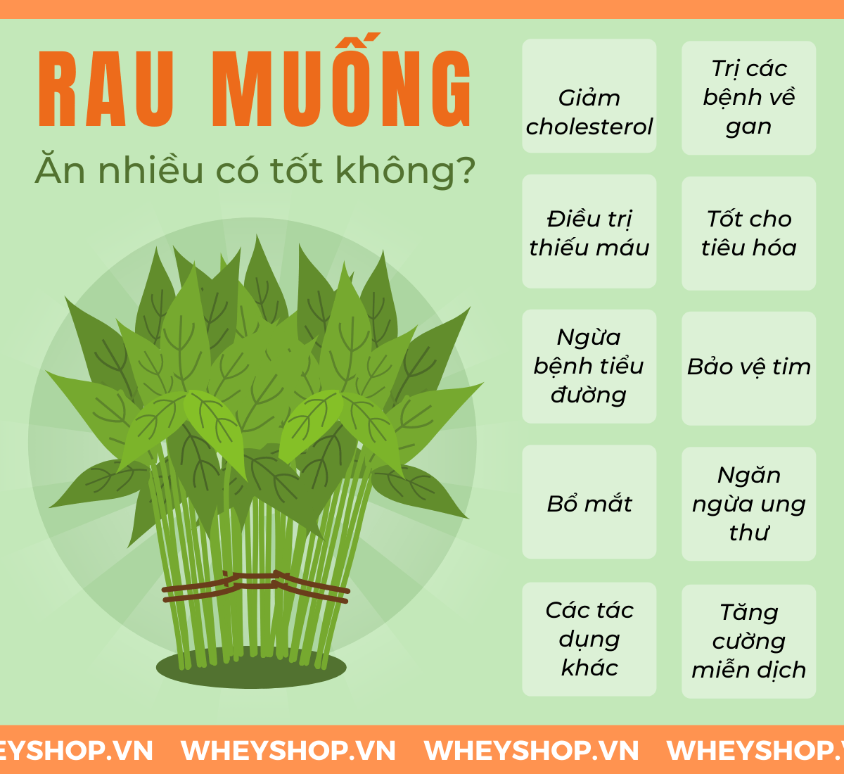 Rau muống là loại rau rất quen thuộc với chúng ta nhưng không phải ai cũng biết tác dụng cũng như lượng calo mà nó chứa. Vậy rau muống bao nhiêu calo ? Bài...
