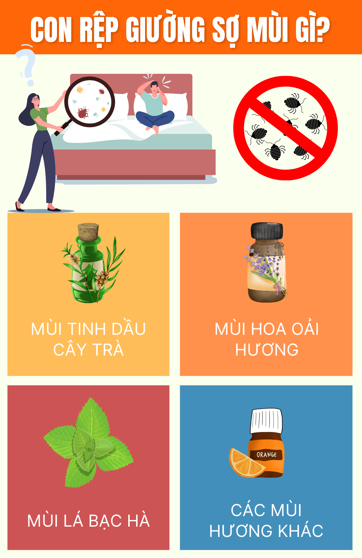 Nếu bạn đang băn khoăn rệp giường sợ mùi gì và cách diệt trừ rệp giường đơn giản, hiệu quả cùng WheyShop qua bài viết ngay sau đây...